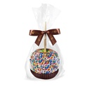 Rainbow Petit